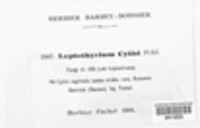Image Associated With the Occurence